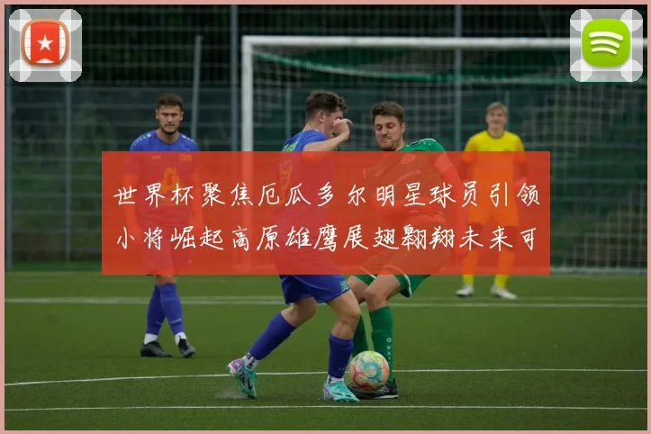 世界杯聚焦厄瓜多尔明星球员引领小将崛起高原雄鹰展翅翱翔未来可期