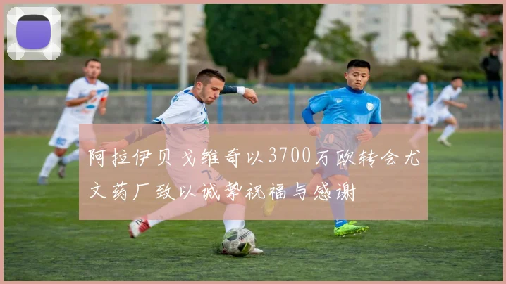 阿拉伊贝戈维奇以3700万欧转会尤文药厂致以诚挚祝福与感谢